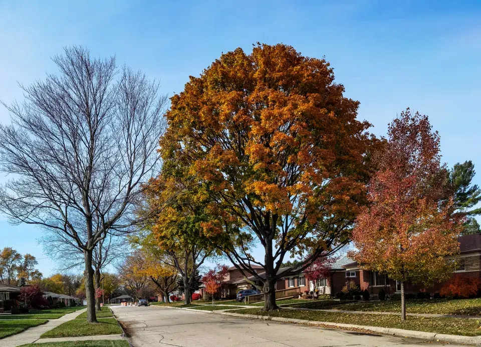 towing service Cherry Hills Village